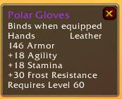 Polar Gloves